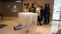 <h4>img_5515.jpg</h4>