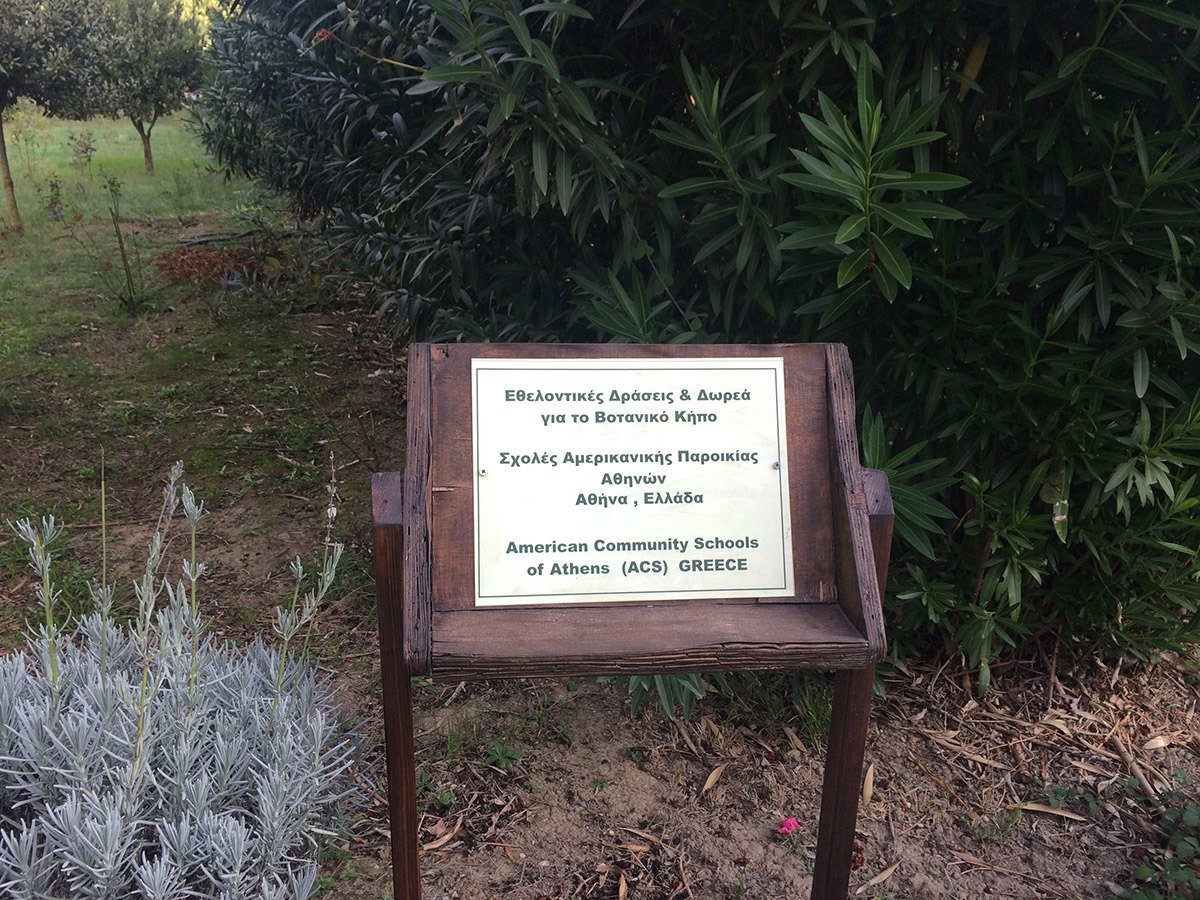 <h4>img_0782.jpg</h4>