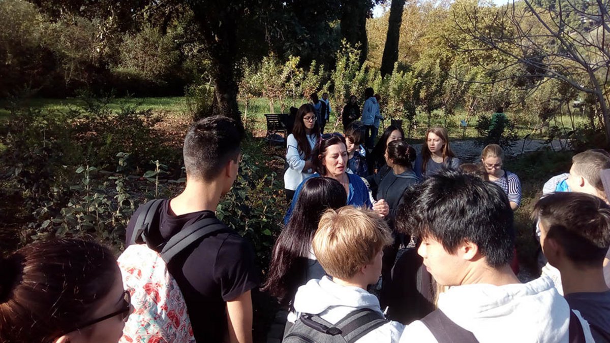 <h4>img_20161014_100216.jpg</h4>