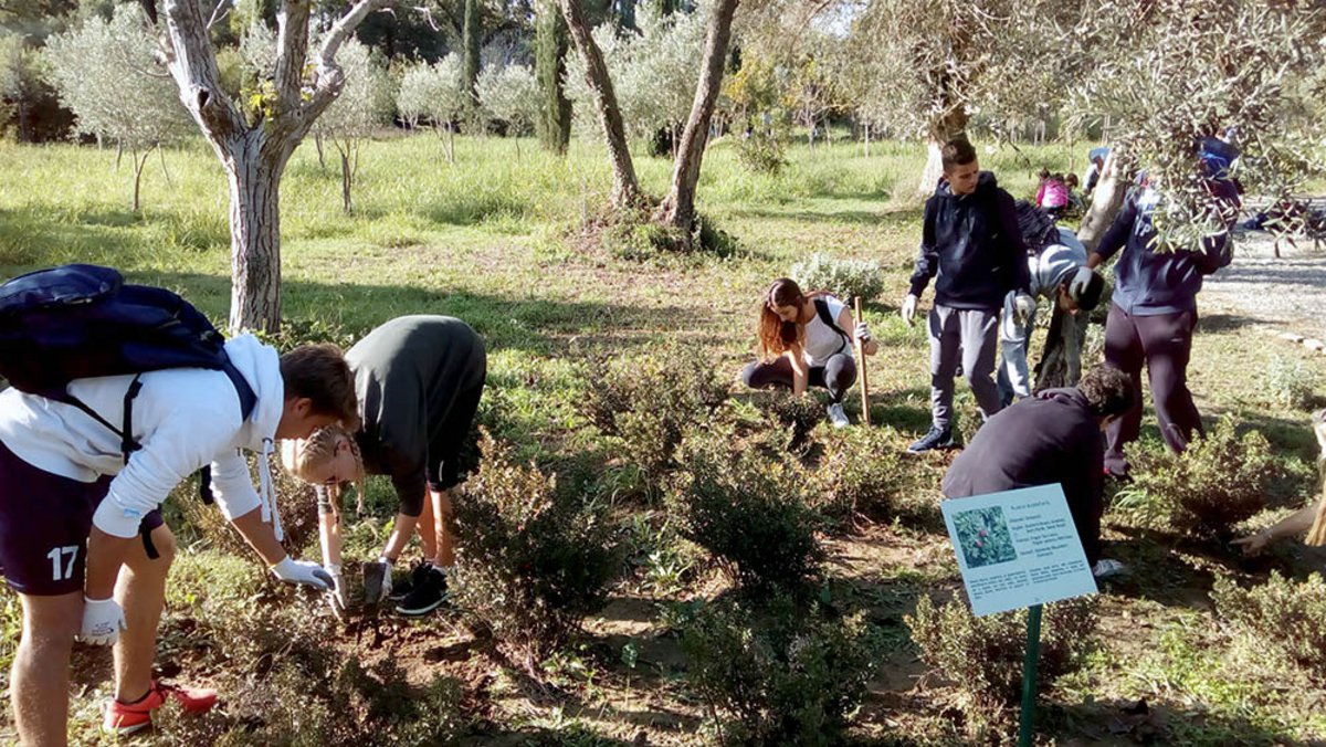 <h4>img_20161014_100932.jpg</h4>