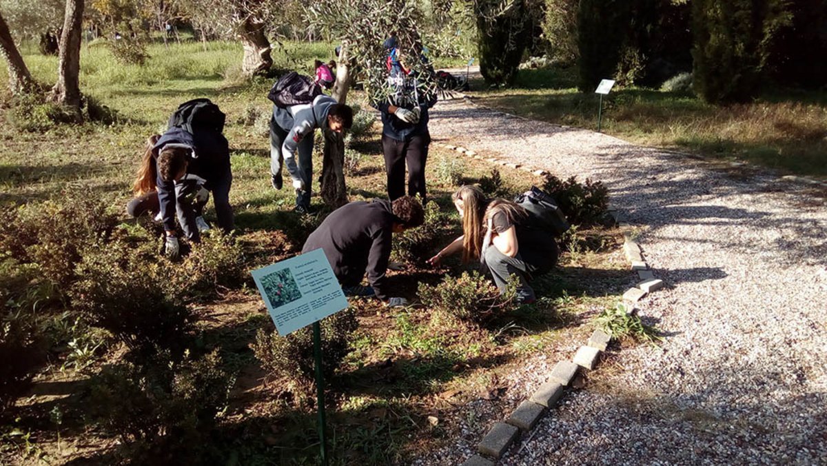 <h4>img_20161014_100934.jpg</h4>