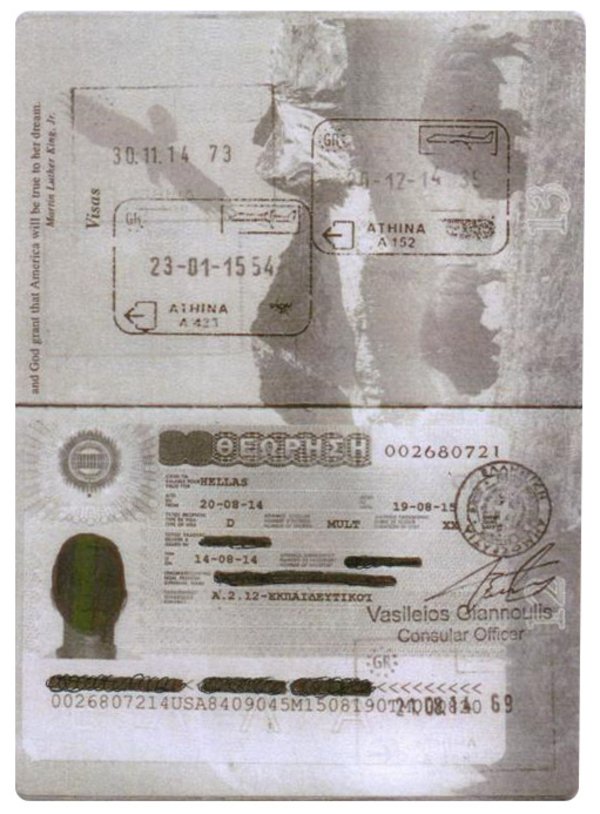 Visa sample